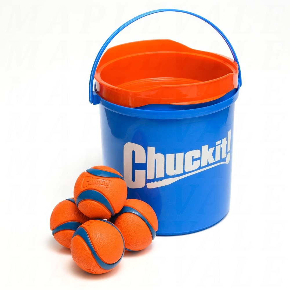 Chuckit! Ultra Ball Dog Toy w/ Chuckit Cleaning Bucket & 8 Medium Fetch Balls